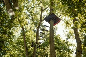 Explore an adventurous tree rope park high above the ground in Oberhausen's lush woods.