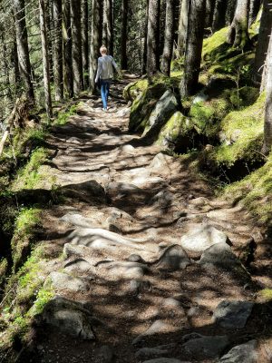 A woman walks along a rocky forest path surrounded by moss and trees.